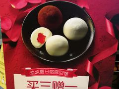-西树泡芙(北京金源2店)