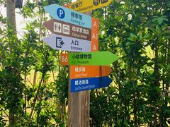 -前小桔亲子创意农场·草莓采摘·露营烧烤