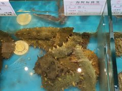 -中苑海韵