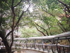 iphone_upload_pic-香港大学