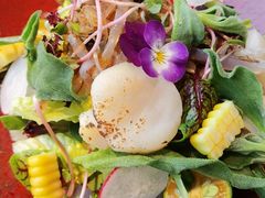 扇贝柚子海蛰沙拉-花潮料理艺食馆(成都万象城店)