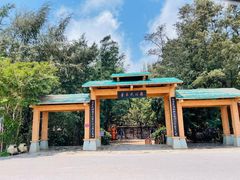 -北海金海湾红树林生态旅游区