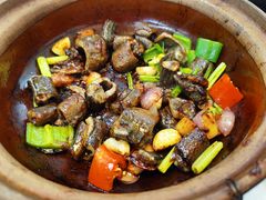 -天宝食坊·啫啫煲大排档(西华路店)