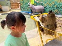 -正佳雨林生态植物园