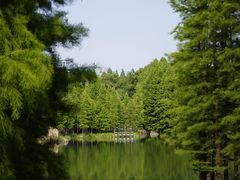 -尚湖风景区
