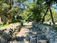 -阳台山自然风景区