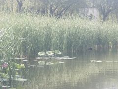 -太阳宫公园
