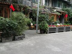 -泡桐树街