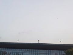 -中共上海市委党校 上海行政学院