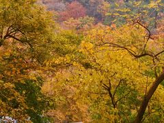 -北京上方山国家森林公园