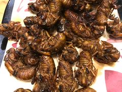 -海派美食·家宴海鲜青岛菜·石锅鲽鱼头(东方城店)