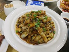 -小海丁