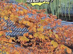 -颐和园