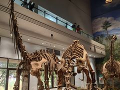 -自贡恐龙博物馆