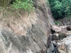 -广州白江湖森林公园