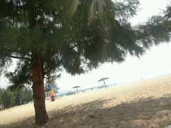 android_upload_pic-玫瑰海岸文化旅游度假区