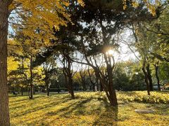 -玲珑塔公园