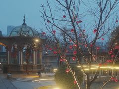 -卫鼎轩·曹公馆(鼓楼店)
