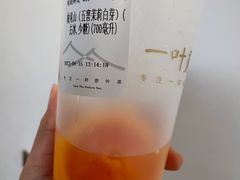 -一叶觅山(半边街店)