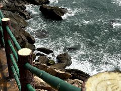 -广东惠东海龟国家级自然保护区