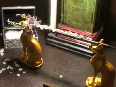-雪灵魔法世界SHELLY’S TAROT(大良桂畔里店)