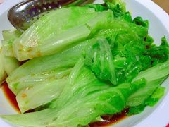 罗马生菜葱油-西贝莜面村(金隅嘉品mall店)