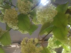 -花言草语(灵山路店)