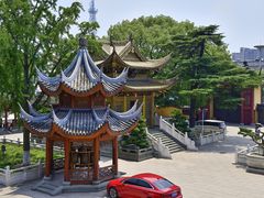 -上海东林寺(金山区)
