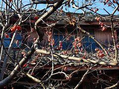 -东钱湖小普陀景区