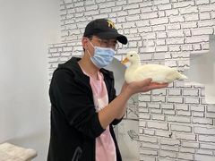 -白夜2D咖啡馆