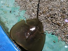 -临沂极地海洋王国