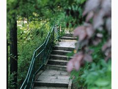 -信号山公园