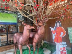 -新白鹿餐厅(城西银泰城店)