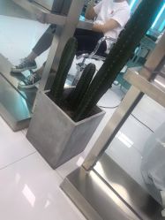 点击看大图 -P.STYLE 派斯造型