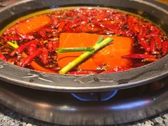 -蜀大侠火锅(总府路店)