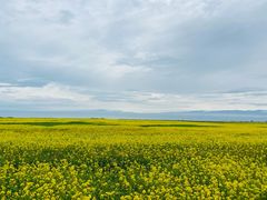 -青海湖国家重点风景名胜区