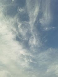 -Hair Co.一间沙龙