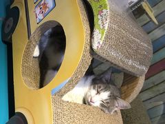 -小时光咖啡馆(开森度假森林店)