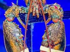 -The Boiling Crab宝灵蟹手抓海鲜(中国首店)