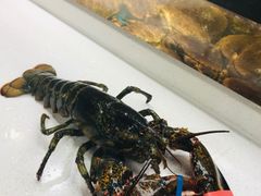 -盒马鲜生(宝地店)