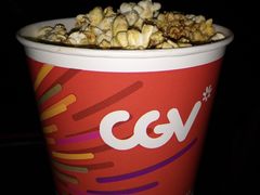 -CGV影城(梅江ScreenX店)