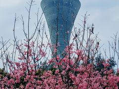 -狐尾山公园