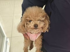 -北京观赏动物医院·24小时大型综合·猫专科·异宠专科