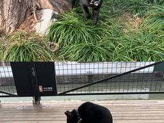 -云间粮仓