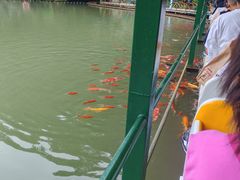 -陶祖圣境风景区