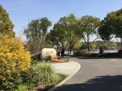 -昆山城市生态森林公园