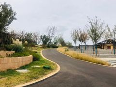 -盘龙城国家考古遗址公园