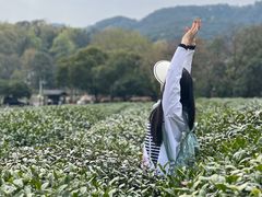 -中国茶叶博物馆(双峰馆区)