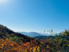 -北京西山国家森林公园