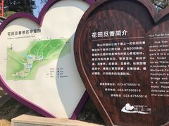 -铁山坪森林公园